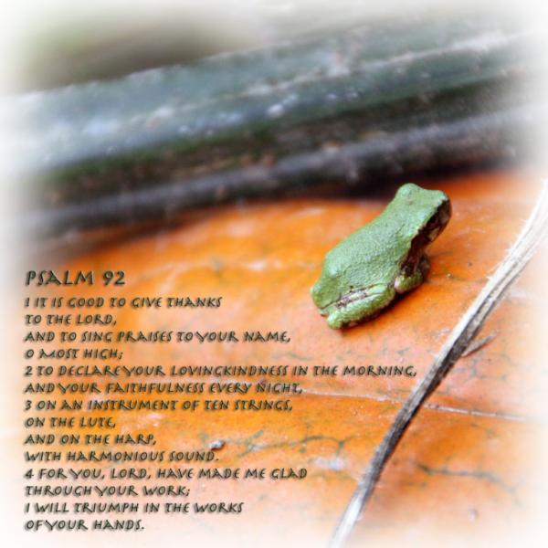 A Prayer of Thanksgiving - Psalm 92
